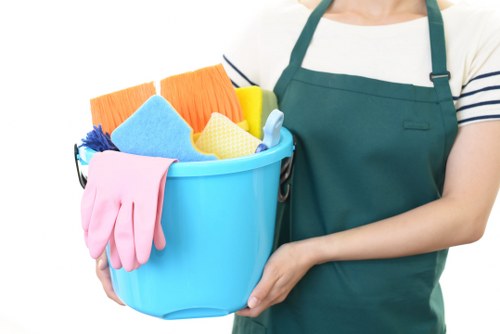 Professional mattress cleaning for a home in SW4