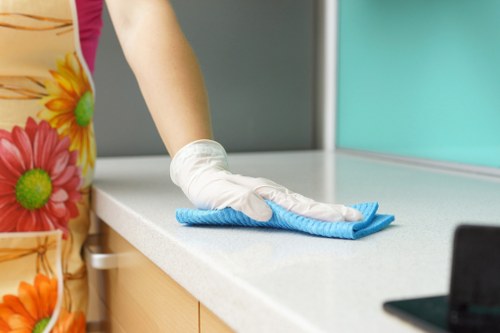 Professional cleaners working in a SW4 home