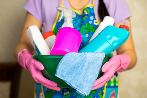 Cookie policy illustration for Cleaners SW4 in the first section