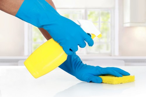 User control and browser cookie settings for Cleaners SW4