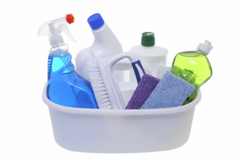 Local carpet cleaner treating a high-traffic carpet area in SW4