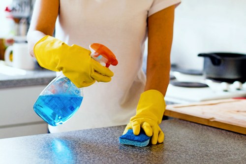 Local mattress cleaning service for flats and homes in SW4