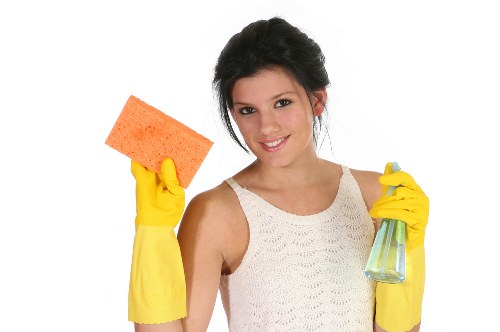 Professional pet stain cleaning in an SW4 living room