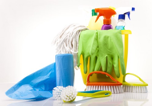 Treating a pet odour stain on carpet in SW4