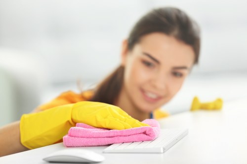 Professional domestic cleaner working in a SW4 property